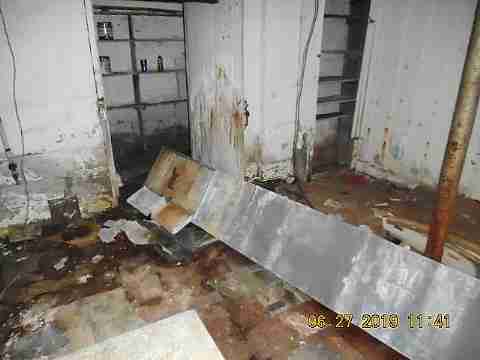 2451 Edsel (24)_m.jpg